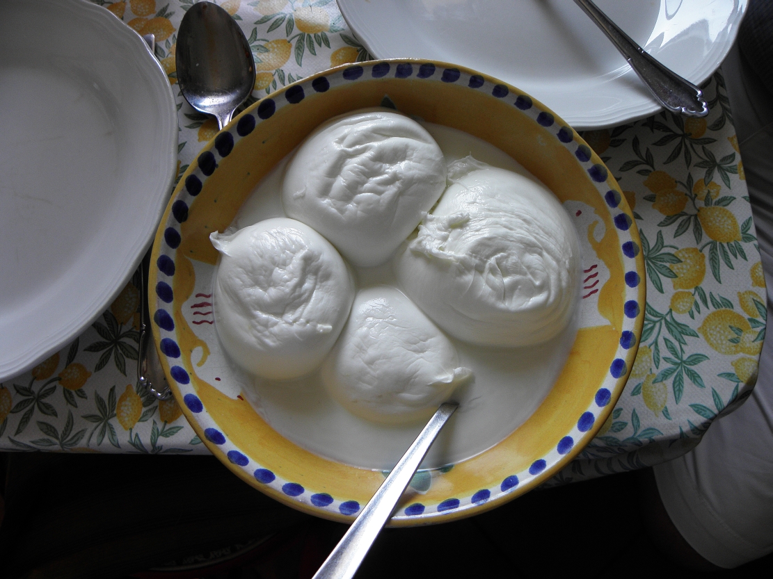Mozzarella